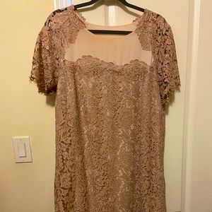 Blush With silver delicate lace dress